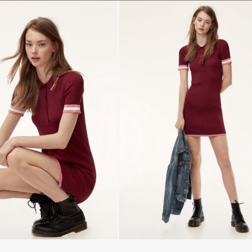Aritzia Burgundy and Pink Mini Dress